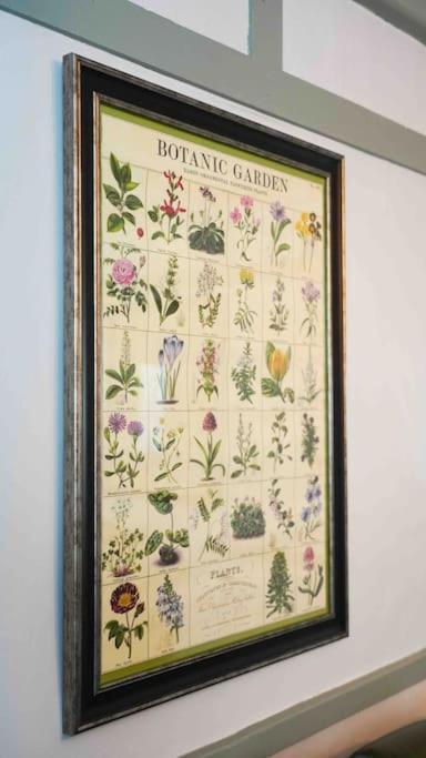 *Stunning* The Botanist Rest Ventnor Iow Villa Luaran gambar