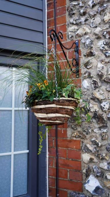 *Stunning* The Botanist Rest Ventnor Iow Villa Luaran gambar