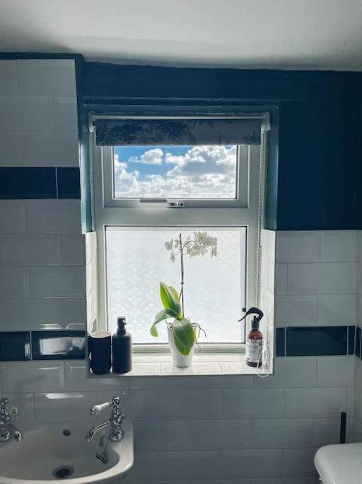 *Stunning* The Botanist Rest Ventnor Iow Villa Luaran gambar